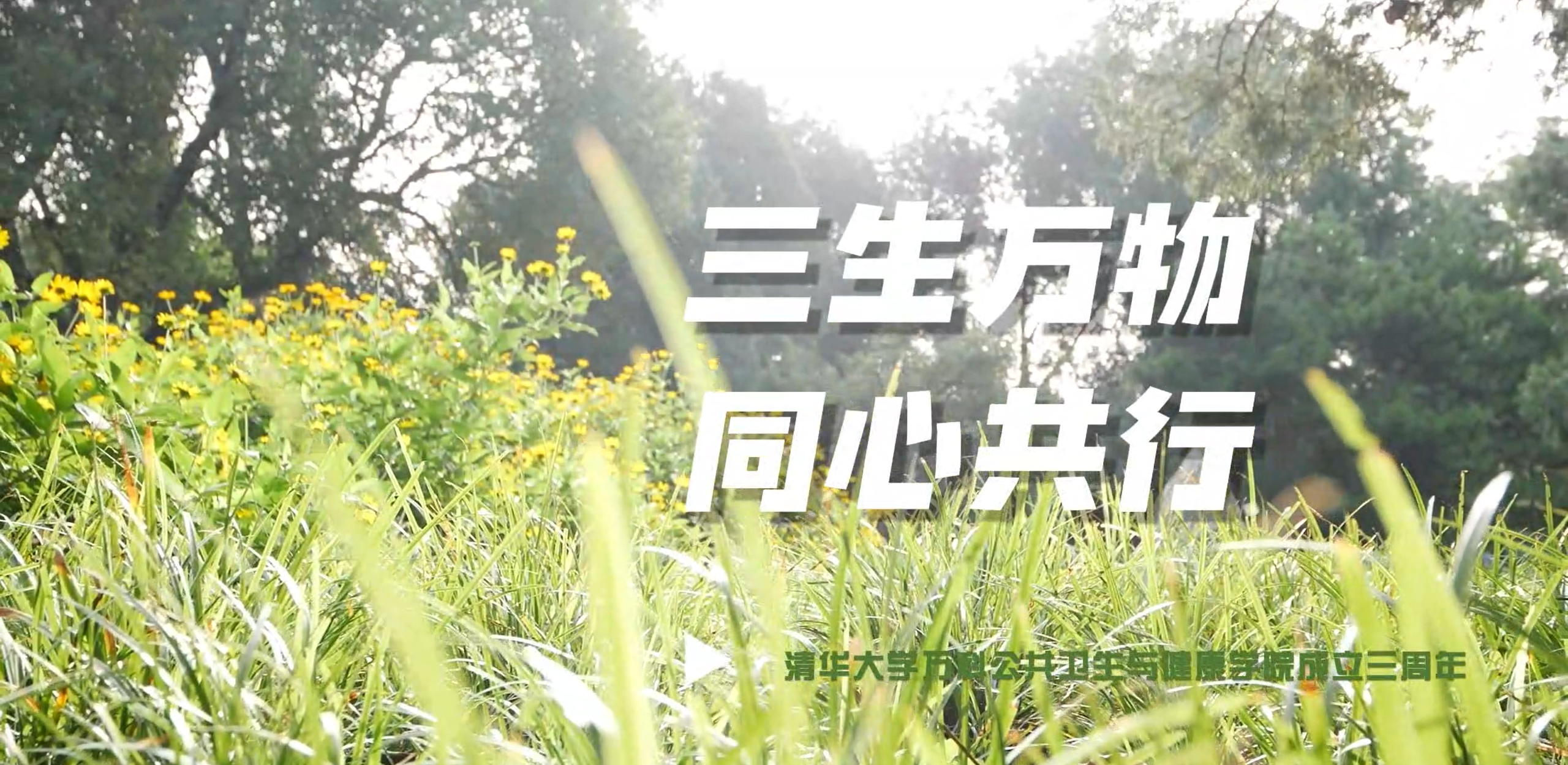 环球体育-环球体育官网
成立三周年