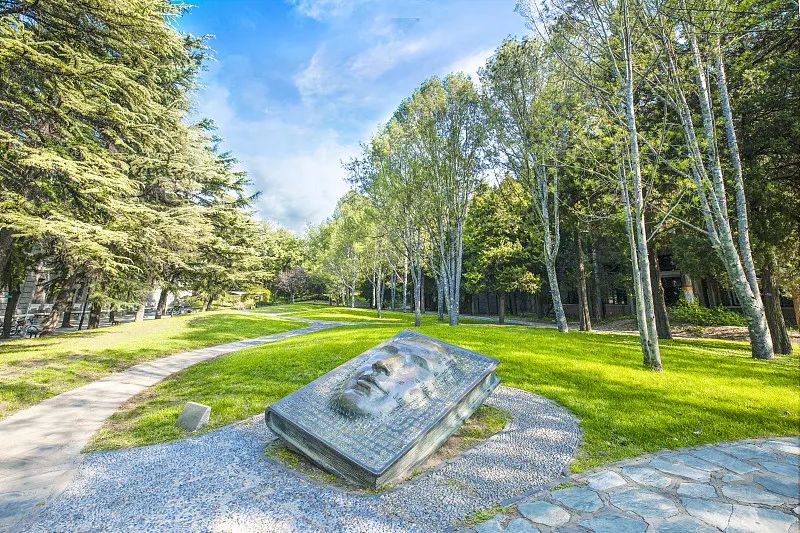 环球体育官网
召开2023年春季学期教学工作务虚会